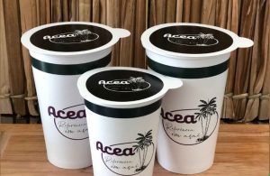 produtos adquiridos na Papello